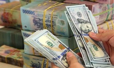 Tỷ giá Vietcombank hôm nay 17/11: Đồng USD bất ngờ giảm giá