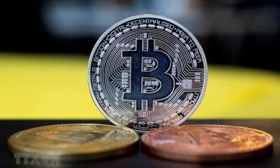 Giá Bitcoin hôm nay 31/1: Các đồng tiền đang trong trạng thái tăng giảm trái chiều