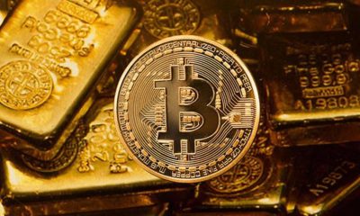 Giá Bitcoin hôm nay 6/2: Phần lớn các đồng tiền đều đang tăng giá