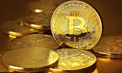 Giá Bitcoin hôm nay 8/3: Thị trường tiền ảo ngập tràn sắc xanh