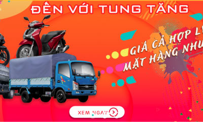 Ra mắt Tung Tăng: Website rao vặt online hàng đầu Việt Nam