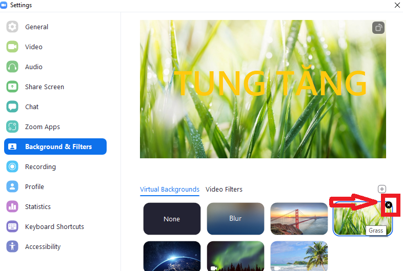 Hướng dẫn cách thay đổi background trong nhà khi họp qua Zoom