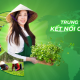 CCV Group và hành trình mang Cây rau má vươn tầm Quốc tế- khẳng định thương hiệu “Vua Rau má Việt”