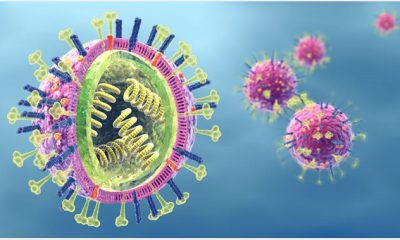 Cúm A là gì? Các triệu chứng cúm A và các biện pháp phòng ngừa bệnh cúm A 2022