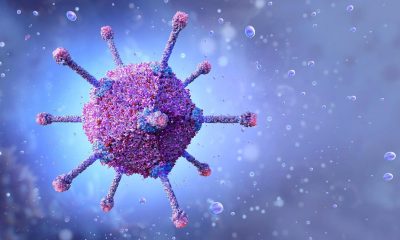 Virus Adeno và những điều bạn cần biết để phòng tránh bệnh cho con em mình 2022