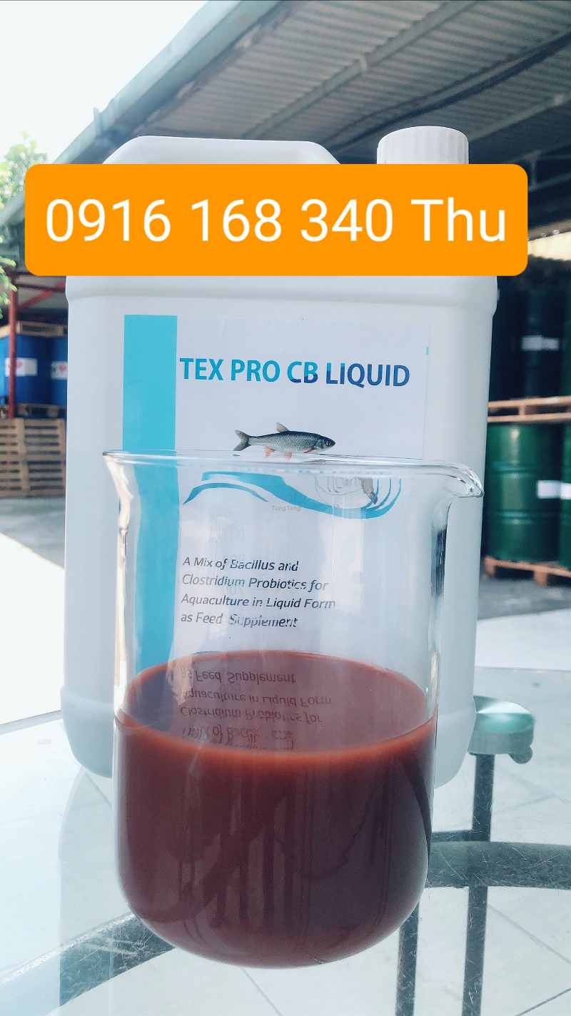 TEX PRO LIQUID Men đường ruột dạng nước tôm cá - Tung Tăng