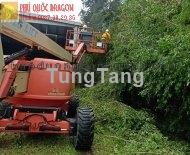 Chăm sóc, cắt tỉa cây xanh theo yêu cầu ở Đồng Nai, TPHCM