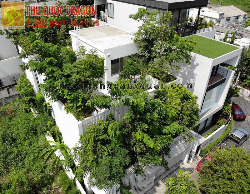 Thiết kế thi công vườn trên mái, sân thượng ở Đồng Nai - Tung Tăng
