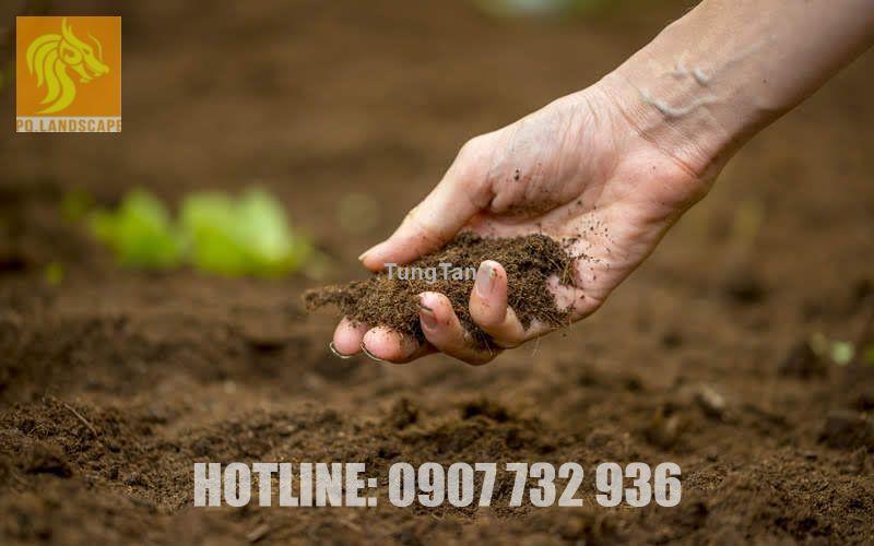 Bán đất màu trồng cây giá rẻ nhất Đồng Nai, TPHCM - Tung Tăng