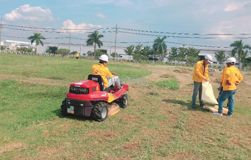 Nhận cắt cỏ, phun thuốc cỏ giá rẻ trọn gói KV Đồng Nai, TPHCM - Tung Tăng