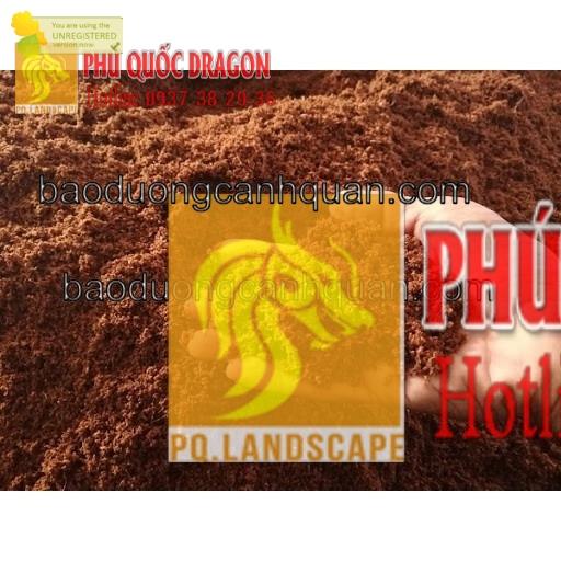 Cung cấp đất trồng giá rẻ - chuyên nghiệp –uy tín TPHCM, Đồng Nai
