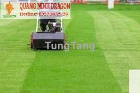 Dịch vụ cắt cỏ, dọn dẹp sân vườn cảnh quan tại TPHCM, Đồng Nai - Tung Tăng