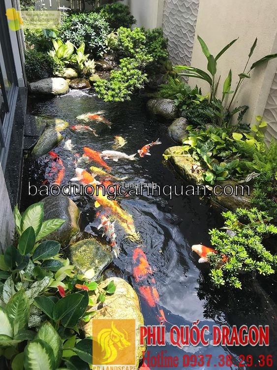 Mẫu thiết kế hồ cá Koi trong nhà đẹp KV Đồng Nai, HCM
