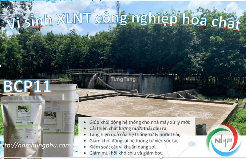 Vi sinh môi trường BCP11 xử lý nước thải dệt nhuộm - Tung Tăng