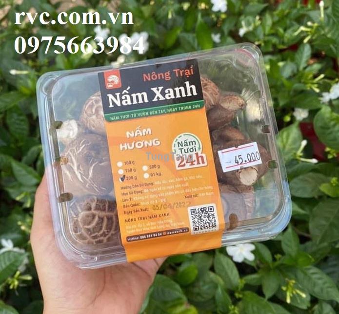 Hộp nhựa trái cây P500D đảm bảo chất lượng  2062022112040637913208401353087197104