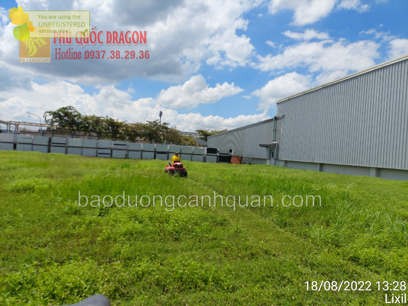 Dịch vụ cắt cỏ phát hoang dự án Đồng Nai, TPHCM - Tung Tăng