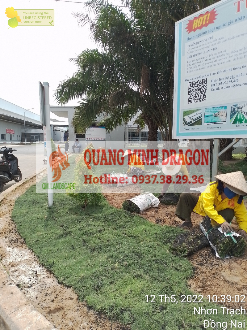 Dịch vụ cắt cỏ, tỉa cành chuyên nghiệp giá cả cạnh tranh - Tung Tăng