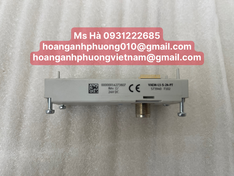 Hinh480248