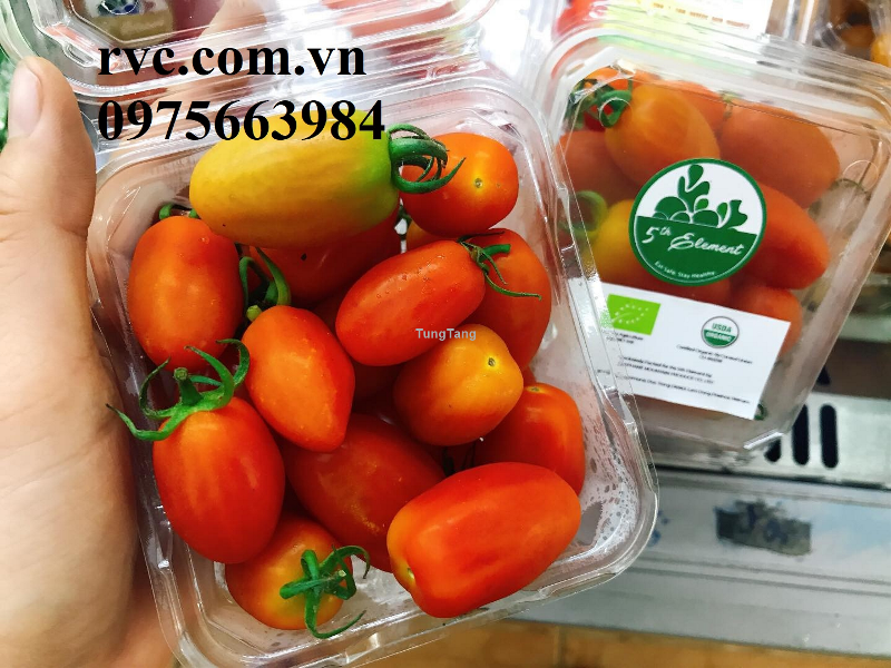 Mua hộp nhựa đựng trái cây 200g P250A tại HCM  2912202115459637763895093153888183227