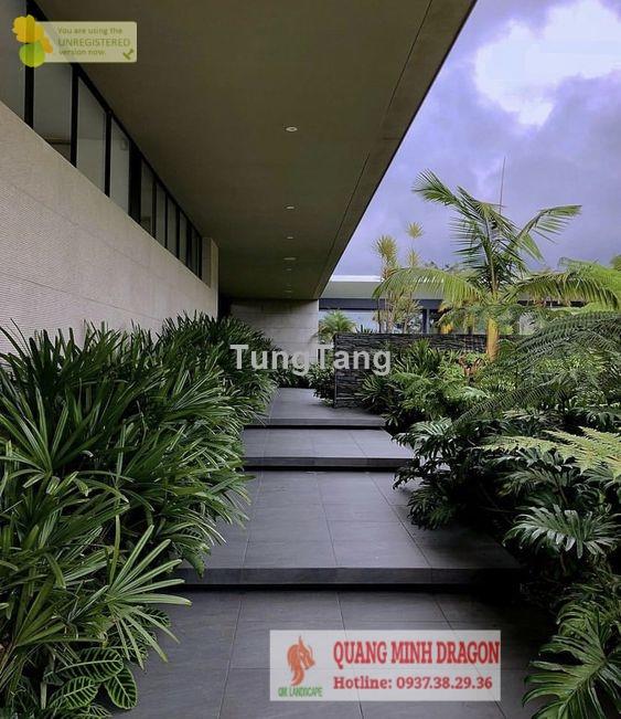 Thiết kế thi công sân vườn hiện đại chuyên nghiệp - Tung Tăng