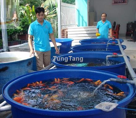 Thùng nhựa tròn 2000 lít nuôi cá giá rẻ - 096 3839 597 Ms Kính - Tung Tăng