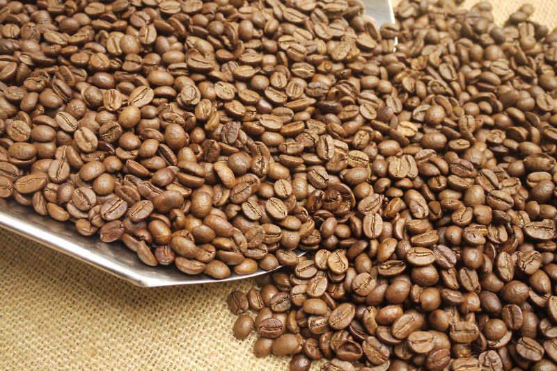 cung cấp cà phê nguyên chất cho đại lý kinh doanh tại Cần Thơ với giá sỉ ổn định - Tung Tăng