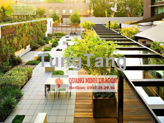 Những lưu ý khi thi công vườn trên mái/sân thượng - Tung Tăng