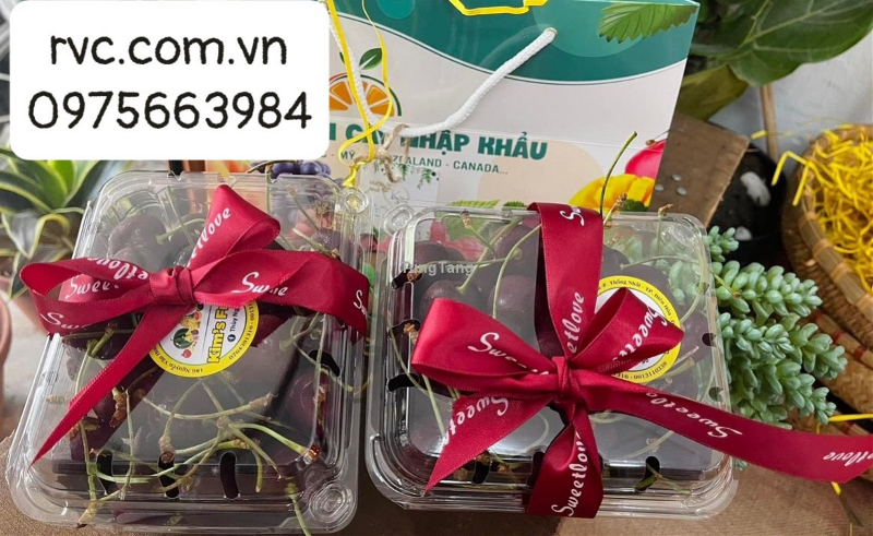 Phân phối và cung cấp giá sỉ hộp nhựa trái cây P500D tại Đà Lạt